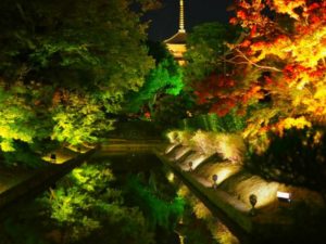 京都世界遺産東寺の夜間ライトアップ混むのは嫌 22年混雑回避