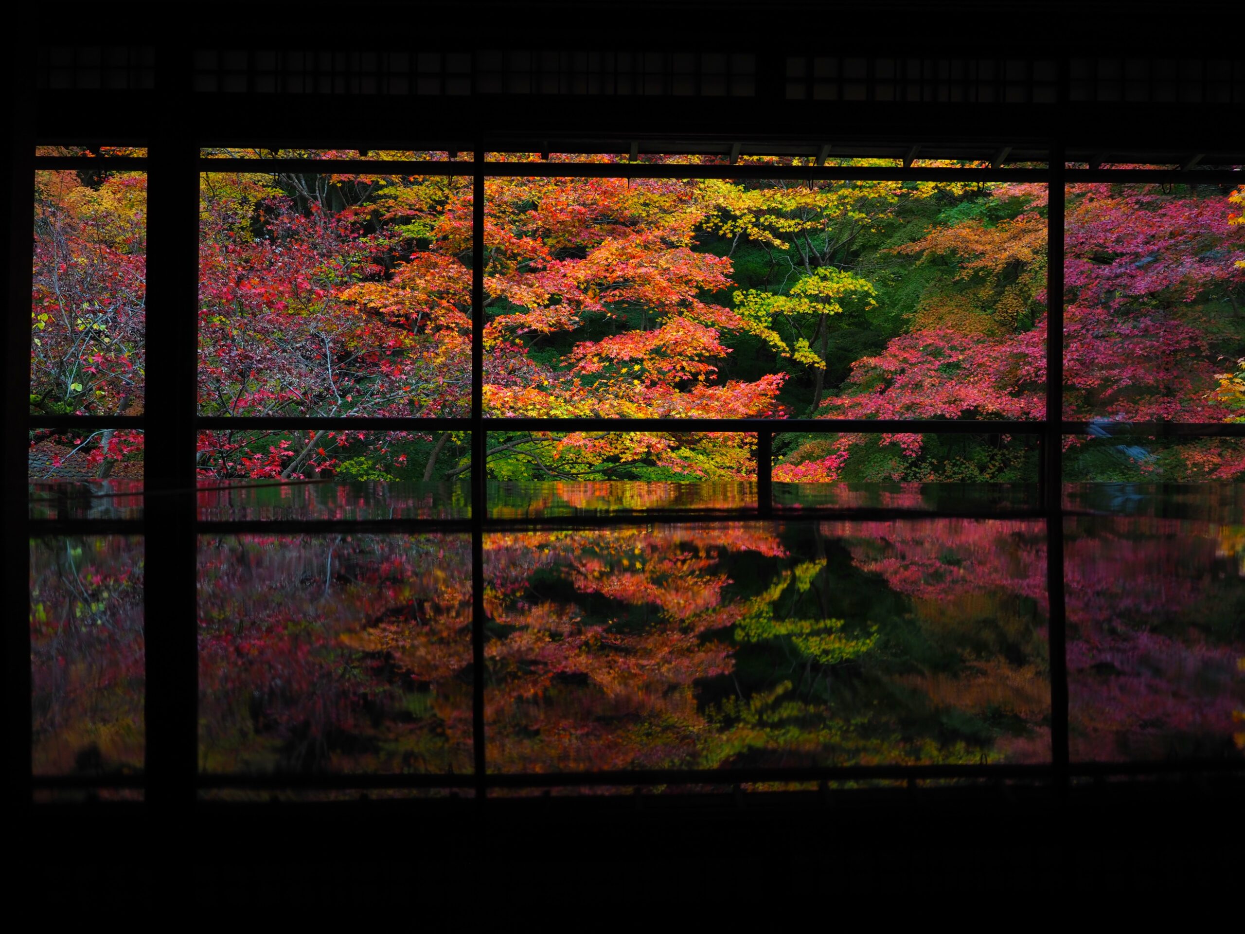 秋の特別拝観【京都の瑠璃光院までの交通など】拝観料2,000円の価値あるの？
