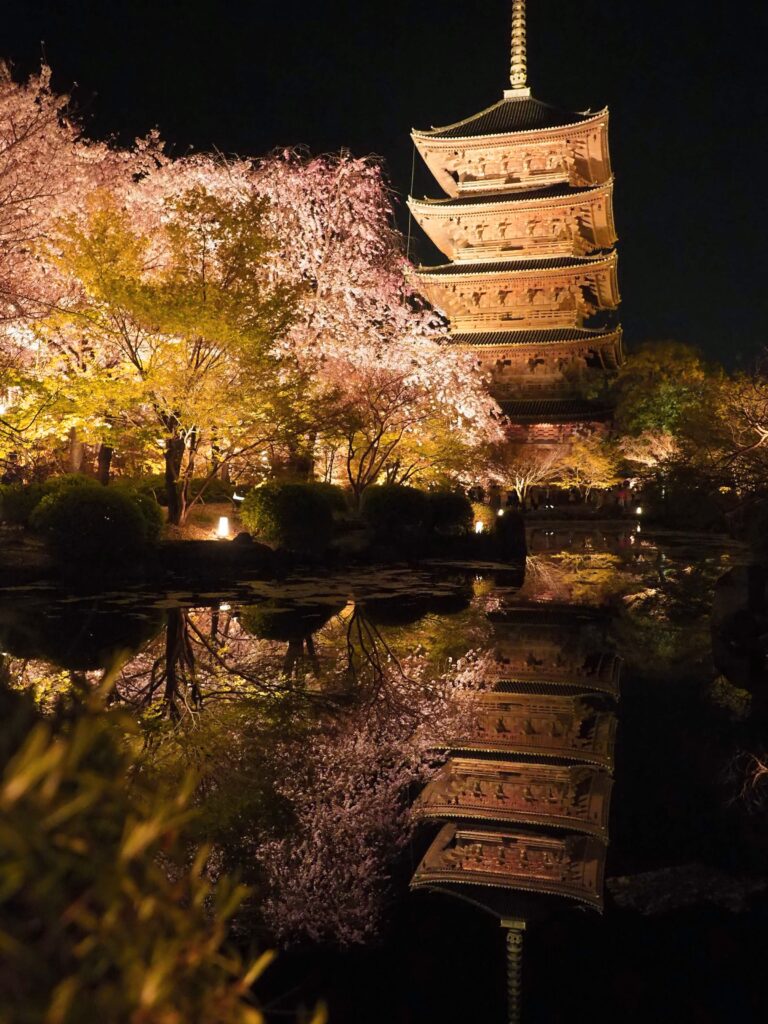 東寺ライトアップ夜桜は3月末が見ごろ 令和4年春の特別拝観 旅行会社の事前予約で1時間早く拝観できる