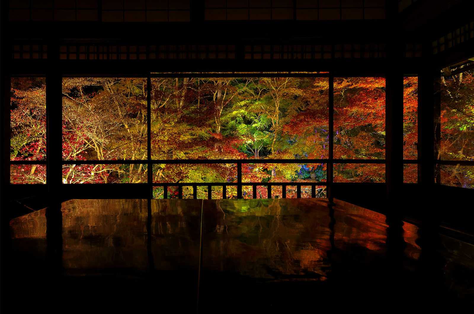 昼も夜も楽しめる秋の紅葉 超絶景リフレクション京都 6選選んで