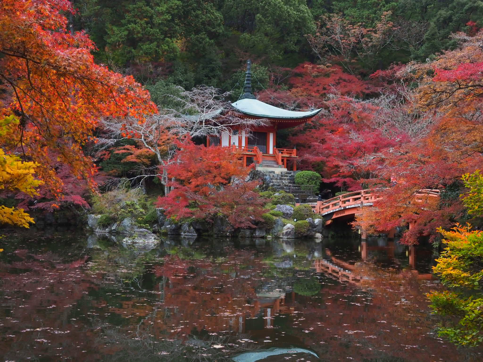 世界遺産醍醐寺 秋の特別拝観 2025年|みどころは映えスポットだけではない!三宝院庭園は秀吉が果たせなかったモミジ狩りが見れる場所