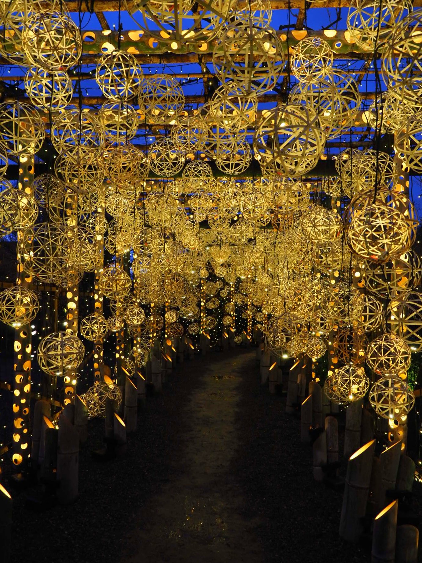 東寺月回廊2026年最新情報|混雑回避方法はあるの?突撃レポ