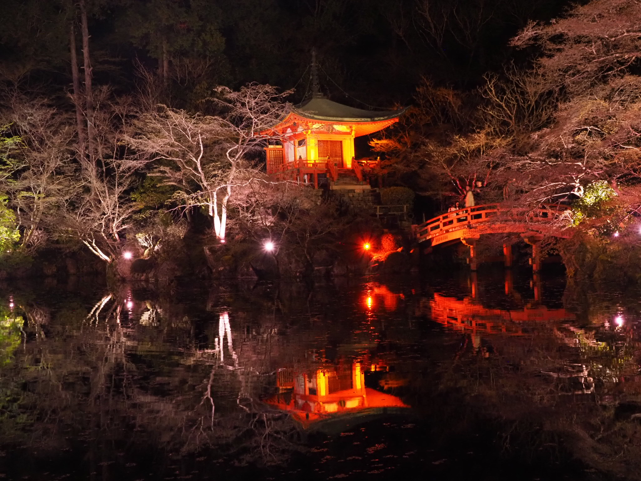 Presents NAKED meets世界遺産醍醐寺花見|そうだ 京都、行こう。とネイキッドコラボ【桜春のライトアップ2026年最新版】